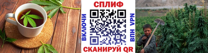 Cannafood конопля  магазин    Усть-Катав 