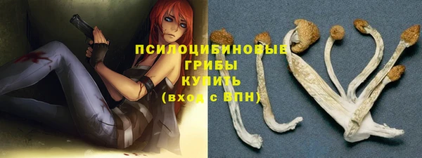 эйфоретик Абинск